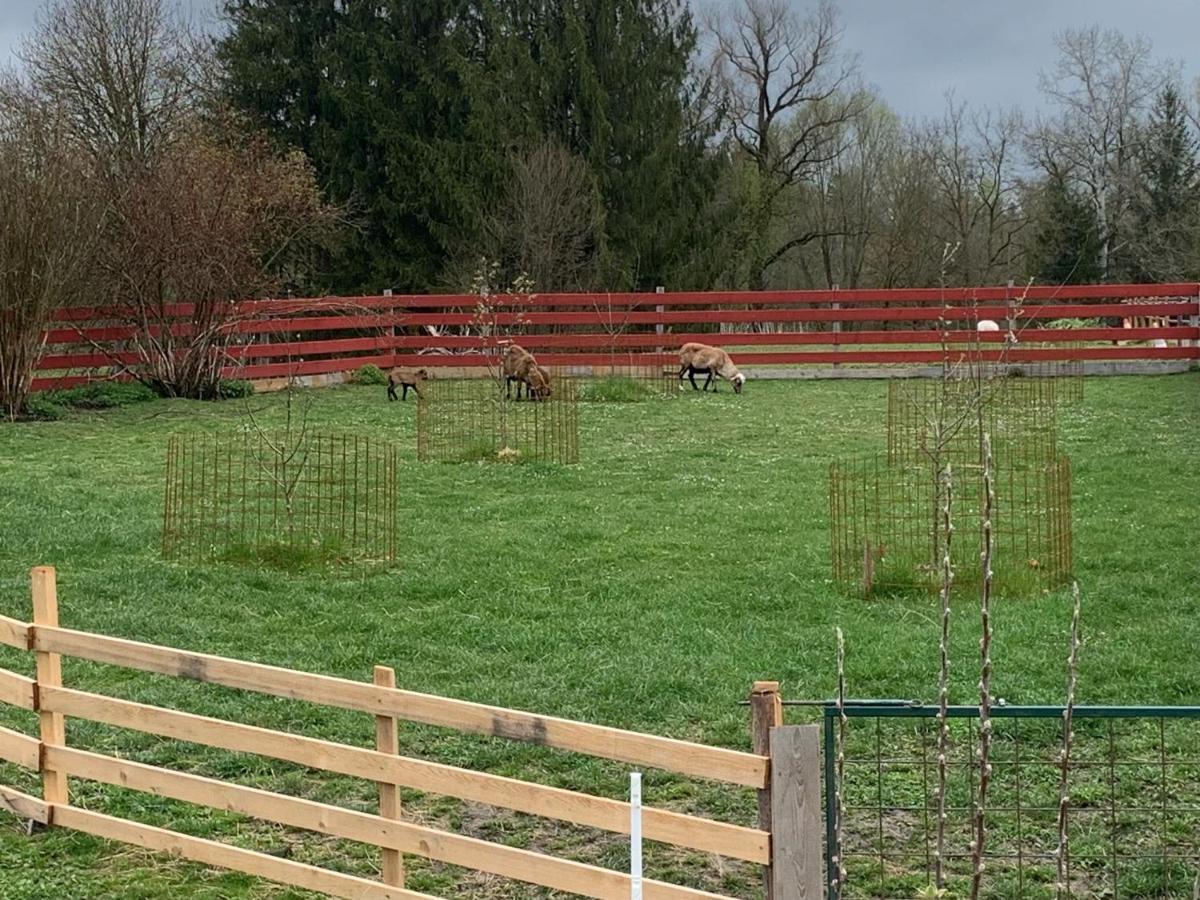 Ferienhaus Spielburg Altötting Esterno foto